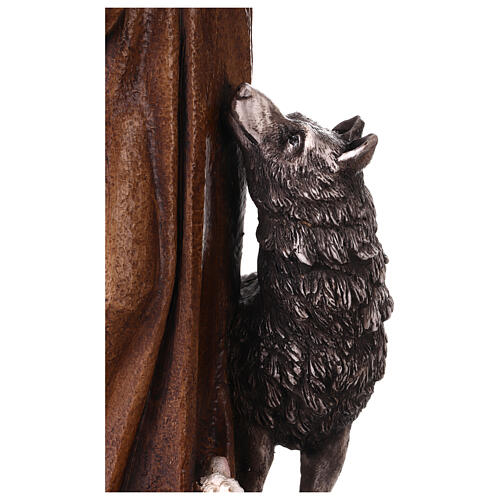 Estatua San Francisco de Asís con lobo resina pintada 60 cm 9