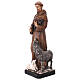 Estatua San Francisco de Asís con lobo resina pintada 60 cm s4