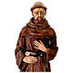 Statua San Francesco d'Assisi con lupo resina dipinta 60 cm s2