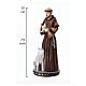Statuetta San Francesco dipinta in resina con colomba e lupo 20x8 cm s2