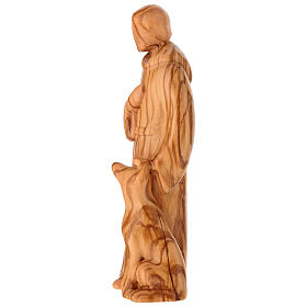 Statua San Francesco in legno d'ulivo Val Gardena