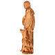 Statua San Francesco in legno d'ulivo Val Gardena s2