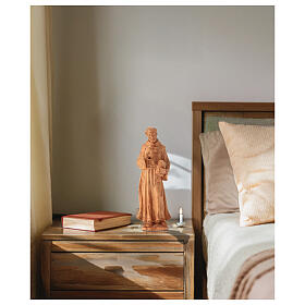 Statuetta San Francesco d'Assisi tortorella legno ulivo