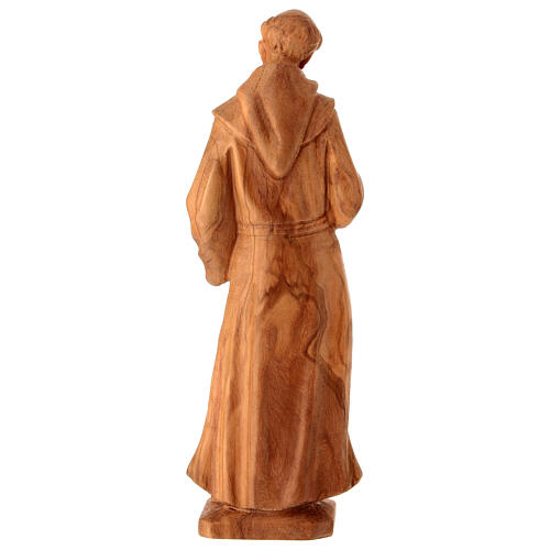 Statuetta San Francesco d'Assisi tortorella legno ulivo 6