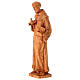 Statuetta San Francesco d'Assisi tortorella legno ulivo s4