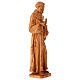 Statuetta San Francesco d'Assisi tortorella legno ulivo s5