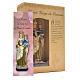 Our Lady of Mount Carmel 12cm with French prayer s3