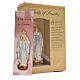 Our Lady of Lourdes 12cm with English prayer s3