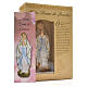Our Lady of Lourdes 12cm with French prayer s3