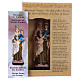Our Lady of Carmine 12 cm with MULTILINGUAL PRAYER s4
