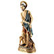 Statue of St. Lazarus in resin 30 cm s3