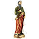 Statue of St. Paul in resin 30 cm s4