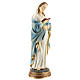Statue of the pregnant Virgin Mary in resin 30 cm s4