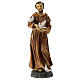 Statue of St. Francis resin 30 cm s1