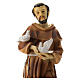 Statue of St. Francis resin 30 cm s2