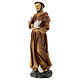 Statue of St. Francis resin 30 cm s3