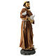 Statue of St. Francis resin 30 cm s4