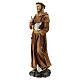 Statue of St. Francis in resin 20 cm s3