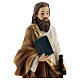 Statue of Saint Paul with brown hair, resin 21 cm s2