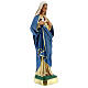 Statue Maria Unbeflecktes Herz, 30 cm, handbemaltes Gips, Arte Barsanti s4