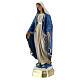 Statue aus Gips Madonna Immacolata Arte Barsanti, 15 cm s2