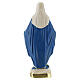 Statua Madonna Immacolata 20 cm gesso colorata Barsanti s4