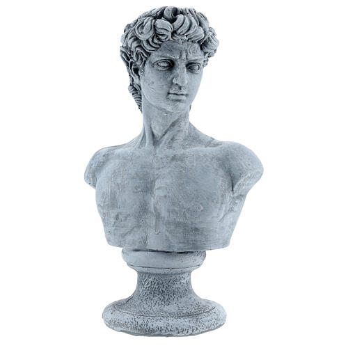 Michelangelo's David bust resin 30x19 3