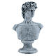 Michelangelo's David bust resin 30x19 s1