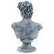 Michelangelo's David bust resin 30x19 s5