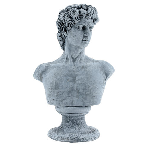 Busto David de Michelangelo resina 30x19 cm 1