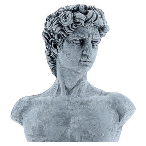 Busto David de Michelangelo resina 30x19 cm 2
