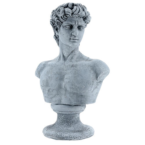 Busto David de Michelangelo resina 30x19 cm 3