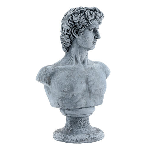 Bust of David by Michelangelo in resin, 30x19 cm 4