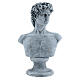 Bust of David by Michelangelo in resin, 30x19 cm s1