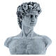 Bust of David by Michelangelo in resin, 30x19 cm s2