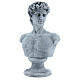 Bust of David by Michelangelo in resin, 30x19 cm s3