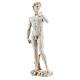Statue David Michel-Ange couleur marbre 21 cm résine s3