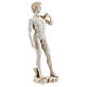 Statue David Michel-Ange couleur marbre 21 cm résine s4