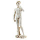 Statue of David Michelangelo, marble color 21 cm in resin s3