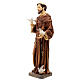 Saint Francis statue with doves 30 cm in painted resin s3
