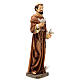Saint Francis statue with doves 30 cm in painted resin s5