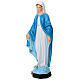 Immaculate Virgin, outdoor statue, indistructible material, 60 cm s3