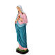 Immaculate Heart of Mary, outdoor statue, indistructible material, 60 cm s3