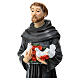 Saint Francis statue with wolf, unbreakable material 30 cm s2