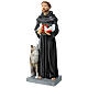 Saint Francis statue with wolf, unbreakable material 30 cm s5