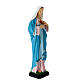 Statua Sacro Cuore di Maria materiale infrangibile 40 cm s4