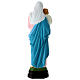 Estatua Virgen con Niño infrangible 40 cm s5