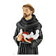 Saint Francis with wolf, unbreakable statue of 16 in s2