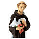 Statue of St Francis unbreakable material 60 cm s2