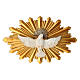 Holy Spirit dove, 6x9 in, resin s1